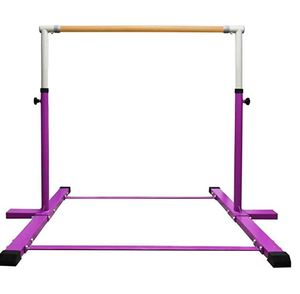 lot 1999 image: Horizontal Gymnastics Bar