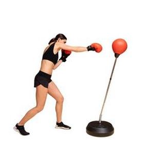 lot 3033 image: Punching Bag Set