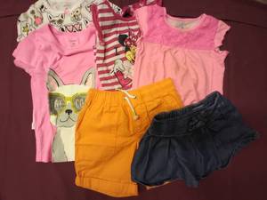lot 333 image: Girls 4T Fox and Puppy Tshirts, Minnie Mouse Top, Pink Top, Orange Shorts and 2T Denim Skirt