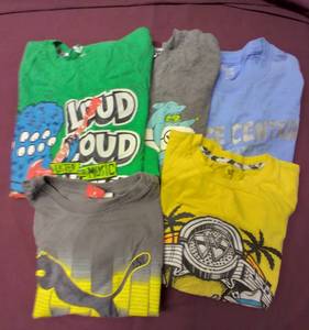 lot 342 image: 5 Boys Size L Tshirts, Maize Central Elementary, and misc Shawn White prints