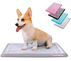 lot 11583 image: Pet Awesome Dog Potty Tray  Puppy Pee Pad Holder 25��x20�� Indoor Wee Training for Small and Medium Dogs