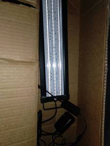 lot 17001 image: LED PLIG IN LIGHT BAR