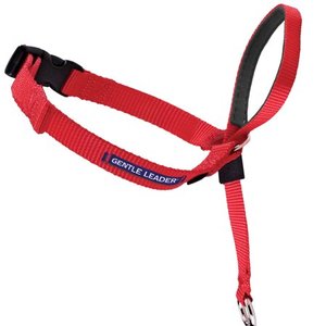 lot 17021 image: PetSafe Gentle Leader Headcollar, No-Pull Dog Collar, Small Up to 25 Lb., Red