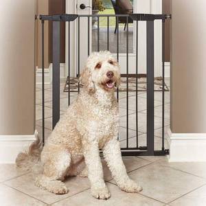 lot 6480 image: MidWest Graphite Steel Pet Gate, 39H, fits up to 38 Wide