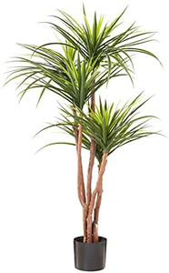 lot 6519 image: Pure Garden Artificial Tropical Yuccana Tree with Rubber Leaves and Natural Trunk, Fake Plant for Indoor and Outdoor Decoration, 51 Inches Tall