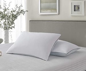 lot 3595 image: Kathy Ireland Home Essentials Feather & Down Fiber Pillow 2 Pack King