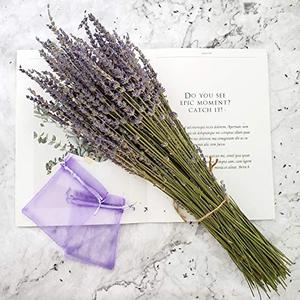 lot 220457 image: Dried Lavender Bundles, Total 250 Stems 100% Natural Lavender Flowers for DIY Flower Arrangements Home Party Wedding Decor
