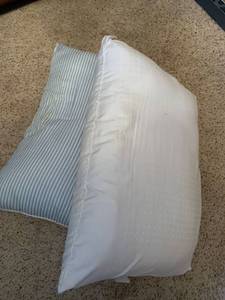 lot 1523 image: Bed pillows