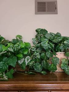 lot 1647 image: Artificial plants