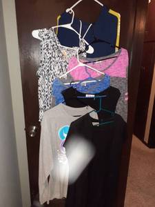 lot 1717 image: Ladies clothing. Sizes 2X to 3X