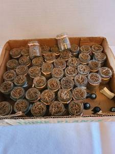 lot 1175 image: Box of miniature jars with dried grass inside
