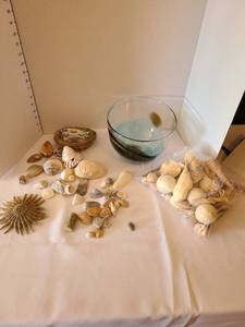 lot 1190 image: Glass bowl and seashells