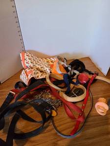 lot 2007 image: Pet accessories including harnesses, toys and leashes