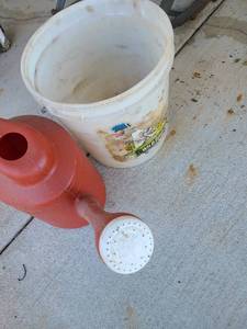 lot 3017 image: Watering can and bucket