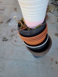lot 3020 image: Assorted plastic flower pots