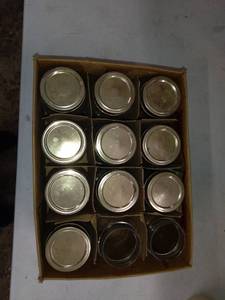 lot 1763 image: 12 1 Pint Mason Jars 2 MISSING Lids