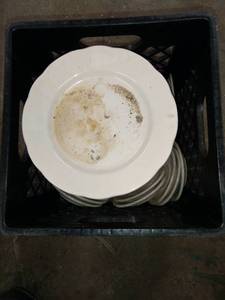 lot 1843 image: Tote Of Plates And Dessert Plates