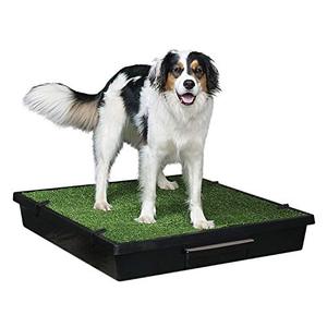 lot 21665 image: PetSafe Pet Loo Portable Dog Potty, Alternative to Puppy Pads, Large- Retail $109