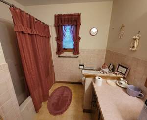 lot 294 image: Shower Curtain, Window Curtains, Bathroom Decor, Safety Toilet Riser, and misc.