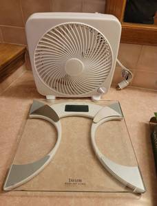 lot 296 image: Glass Body Fat Scale and 9 Personal Fan