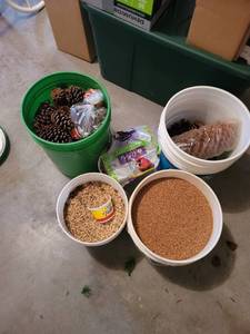 lot 500 image: Pinecones and Birdseed