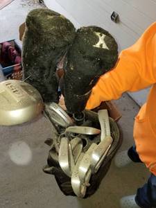 lot 298 image: Golf clubs