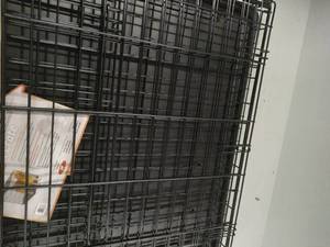 lot 34394 image: Dog kennel