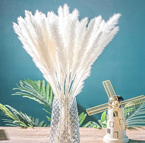 lot 4122 image: Jofeel White Pampas Herb Home Decor, Pompous Herb Plant, Small