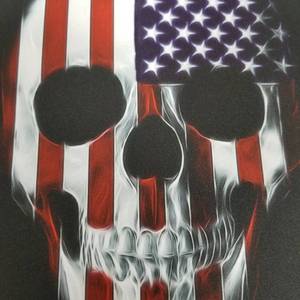 lot 4165 image: American Flag Skull Round Mouse Pad