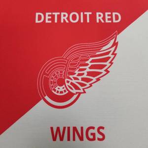 lot 4168 image: Detroit Red Wings Mouse Pad