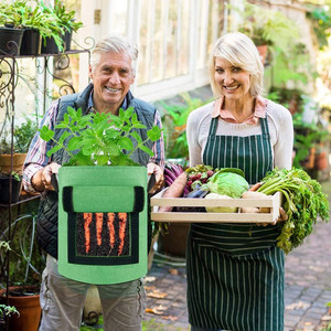 lot 6200 image: Grow Bags Potato Growing Bags Potato Planting Bag With Flap And Handles For PotatoTomatoCarrot Vegetable Container 7 Gallon-Green