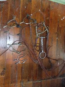 lot 20622 image: Lot of Spurs and Horse Accessories - includes U.S Calvary Spurs See Photos