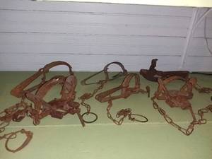 lot 1079 image: 6 Antique Animal Traps