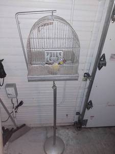lot 20634 image: Standing Hendryx Birdcage