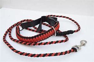 lot 8169 image: Olsa Dog Leash With Collar Large, Red