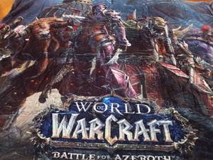 lot 3484 image: WoW Throw Blanket