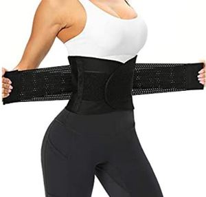 lot 3472 image: Waist Trainer