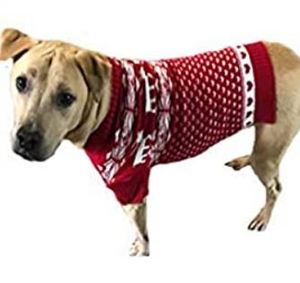 lot 3488 image: Pet Sweater