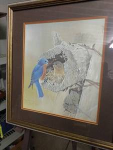 lot 4086 image: framed bird print by G. Loates 1965 15 in wide 16 and 12 in tall