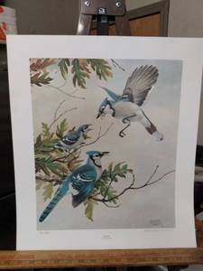lot 4177 image: unframed signed and numbered called blue jay 21  350 by Bernard Martin 1978 16 in wide 18 in tall