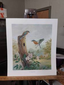 lot 4178 image: unframed print numbered and signed called Sunday morning bluebirds number 236  500 by Bernard Martin 1981 16 in wide 18 in tall