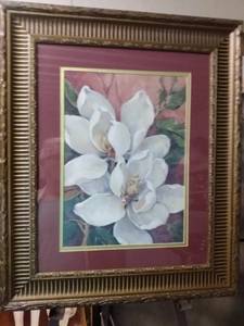 lot 4220 image: framed print of White Iris by Barbara Mock 22 in wide 26 in tall