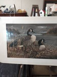 lot 4352 image: signed and numbered print of Canadian geese number 272350 by Cassandra Graham called the companions print is 36 in Long 25 in tall