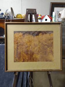lot 4373 image: framed picture of forest in the fall 19 and 12 in wide 17 in tall