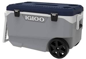 lot 65660 image: Igloo Maxcold Coolers