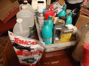 lot 33126 image: Large assortment of cleaning supplies
