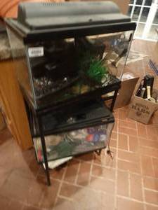 lot 33165 image: 2 FISH TANKS W STAND & SUPPLIES. both are 10 gallon