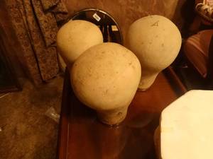 lot 33323 image: Antique wig heads