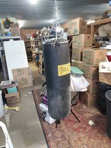 lot 4461 image: 90 lb Everlast punching bag with hanger no tears or cuts