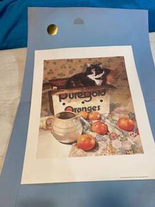 lot 7351 image: Jennyanydots Buckeye LTD